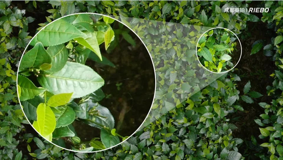 Ultra-High Resolution Precision Agricultural Remote Sensing Program
