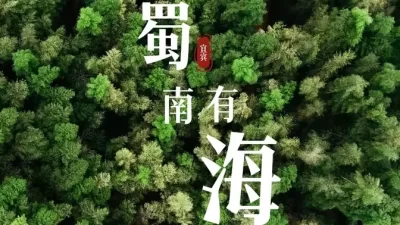 跟随5亿像素DAC10倾斜摄影航摄仪的镜头，带你去蜀南看海！